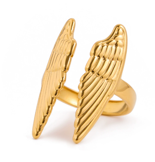 Stainless steel ring