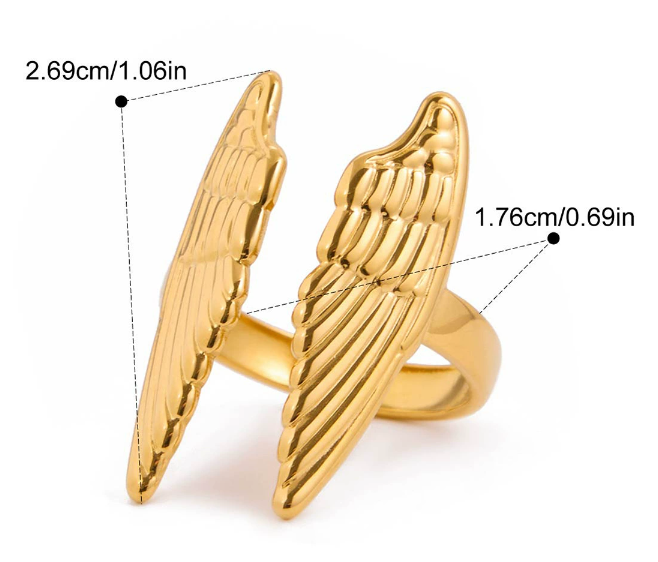 Stainless steel ring