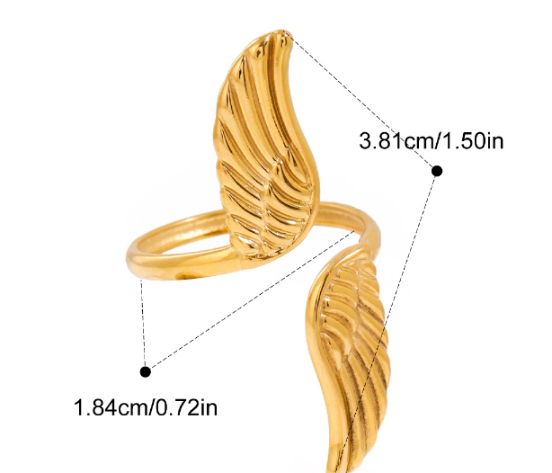 Stainless steel ring