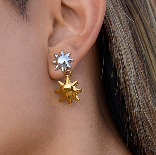 Stainless steel earrings