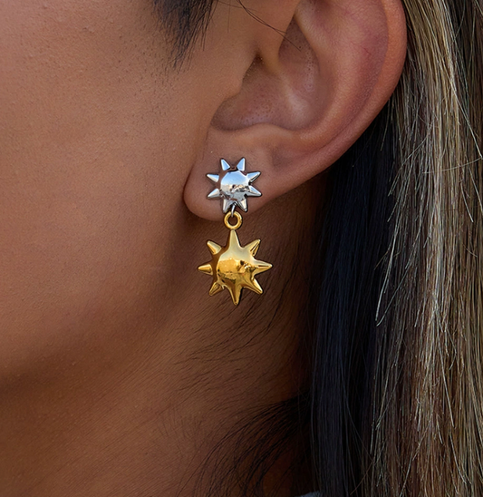 Stainless steel earrings