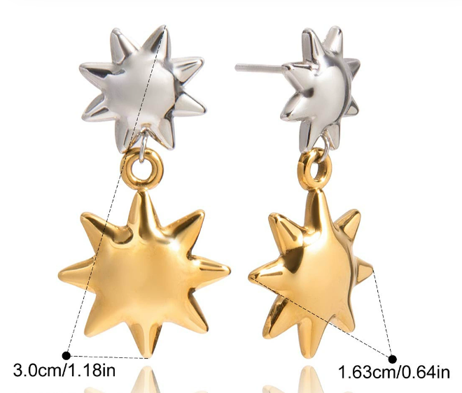 Stainless steel earrings