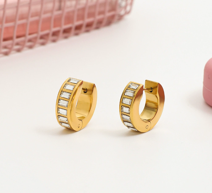 Stainless steel earrings