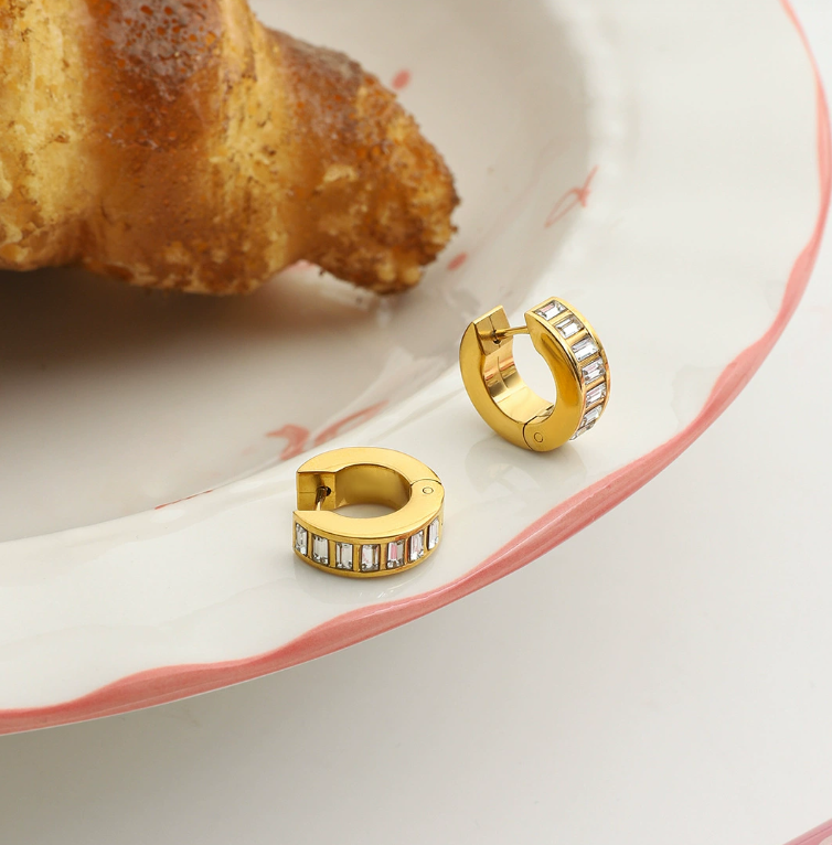 Stainless steel earrings