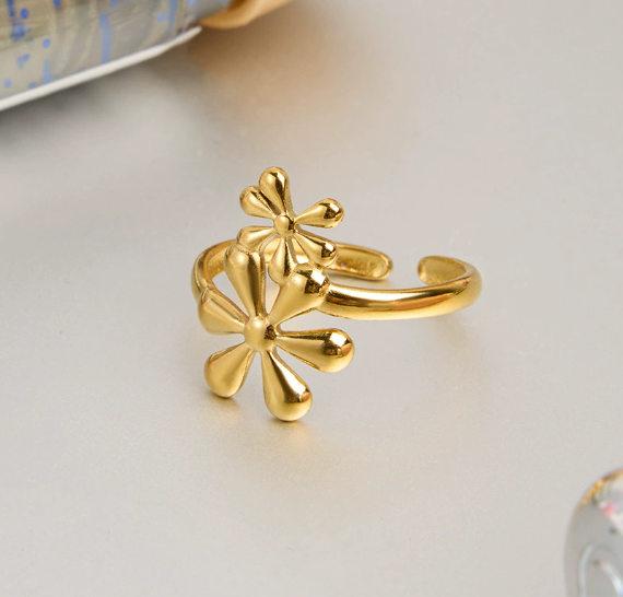 Stainless steel ring