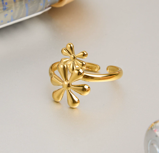 Stainless steel ring