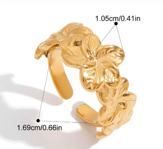 Stainless steel ring