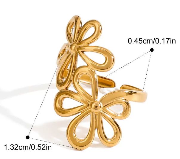 Stainless steel ring