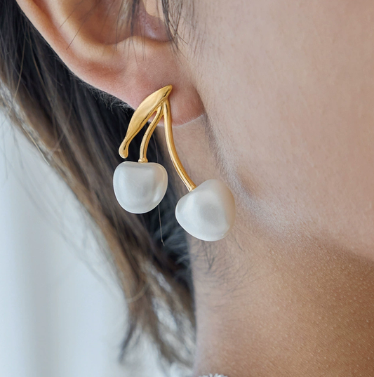 Stainless steel earrings