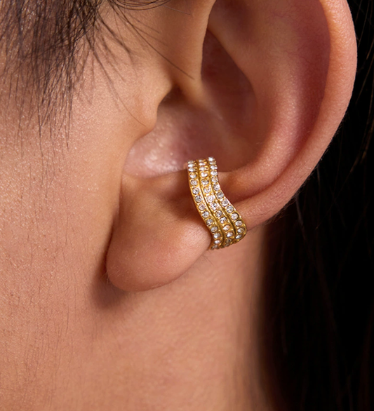 Stainless steel earrings