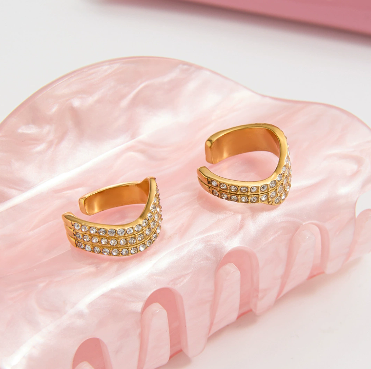 Stainless steel earrings