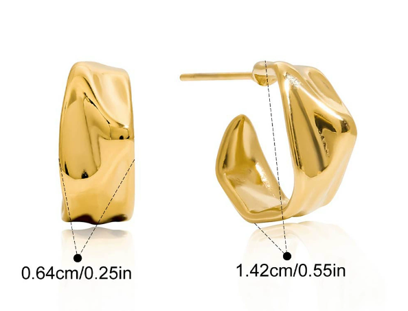 Stainless steel earrings