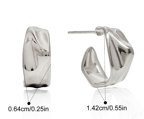 Stainless steel earrings