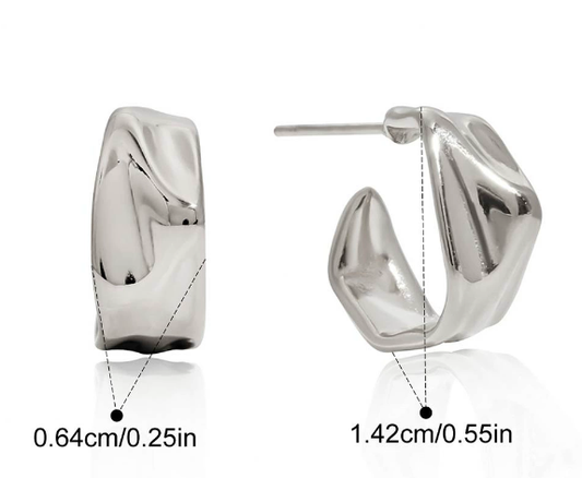 Stainless steel earrings