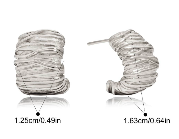 Stainless steel earrings