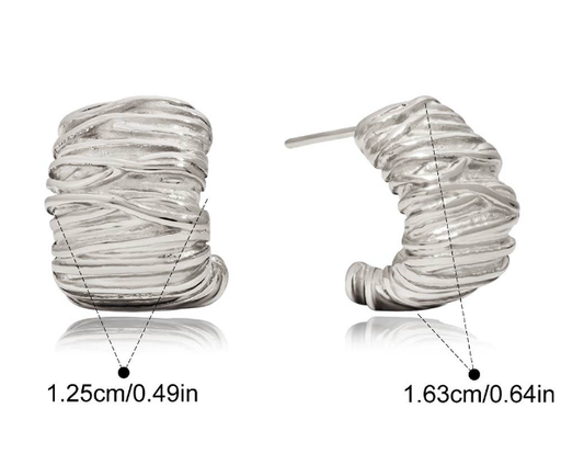 Stainless steel earrings