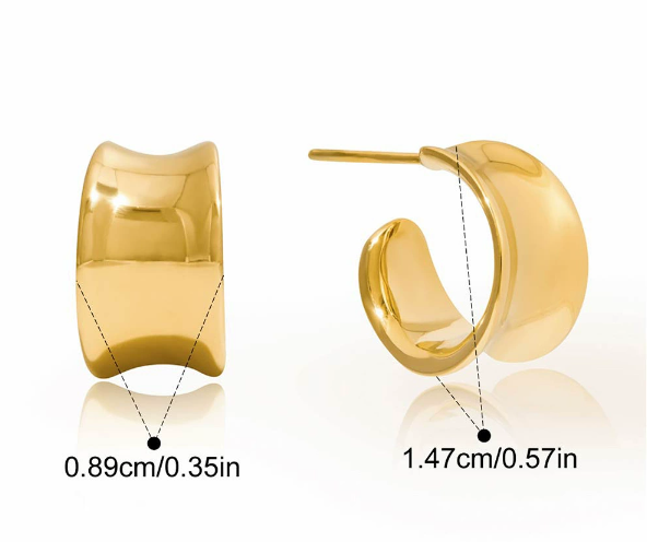 Stainless steel earrings