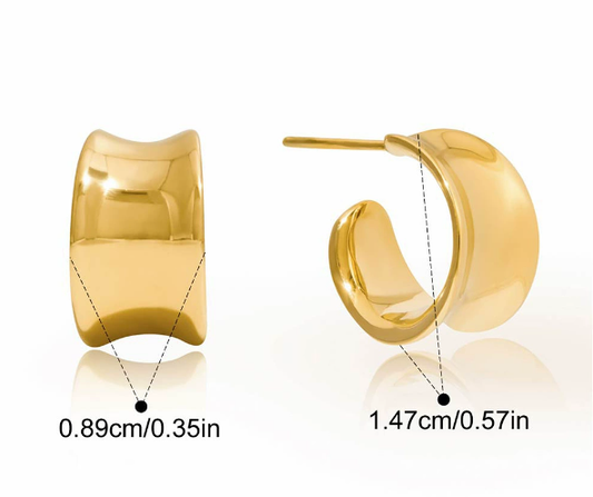 Stainless steel earrings