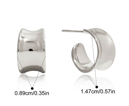 Stainless steel earrings