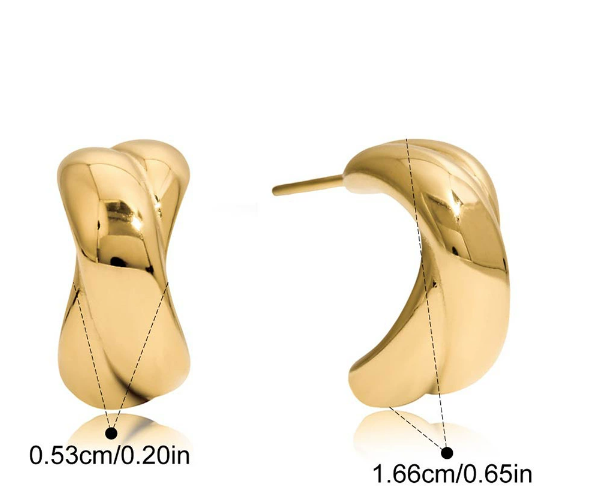 Stainless steel earrings