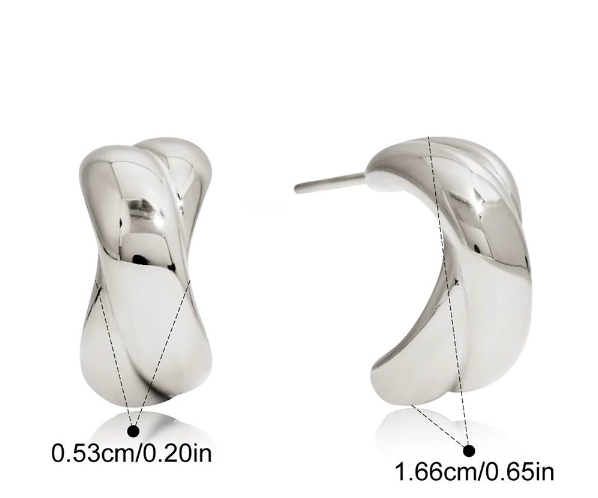 Stainless steel earrings