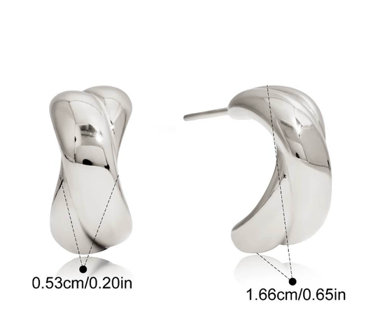 Stainless steel earrings