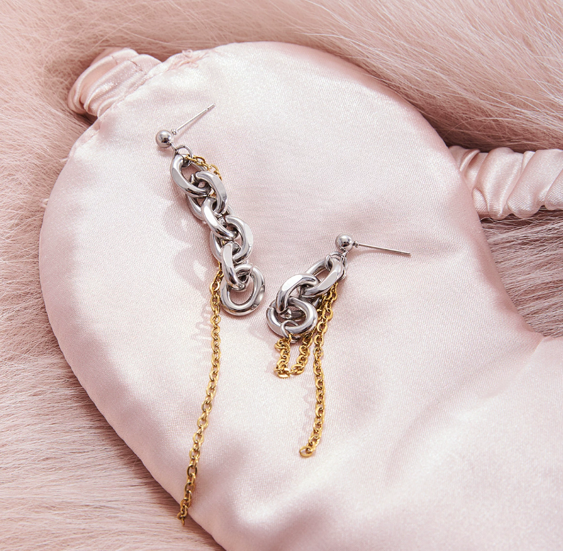 Stainless steel earrings