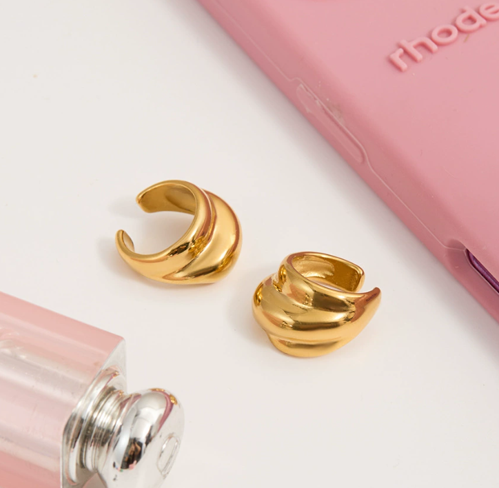 Stainless steel earrings
