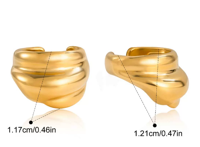 Stainless steel earrings