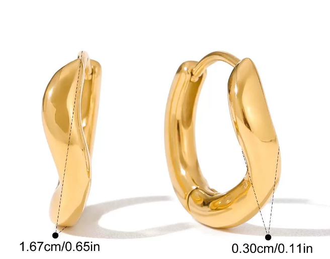 Stainless steel earrings