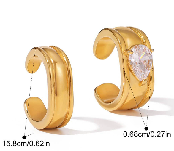 Stainless steel earrings