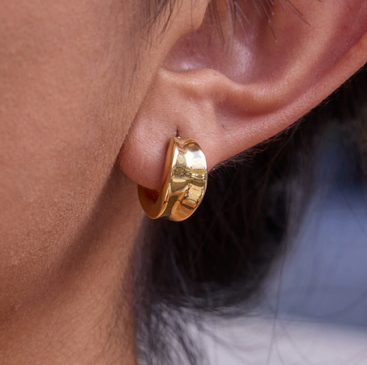 Stainless steel earrings