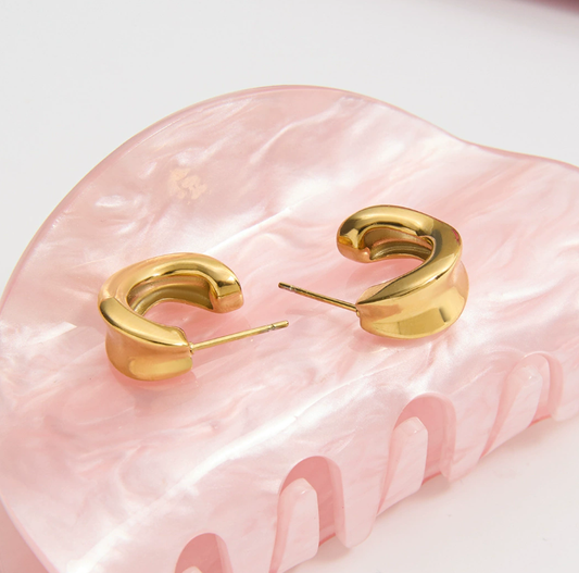 Stainless steel earrings