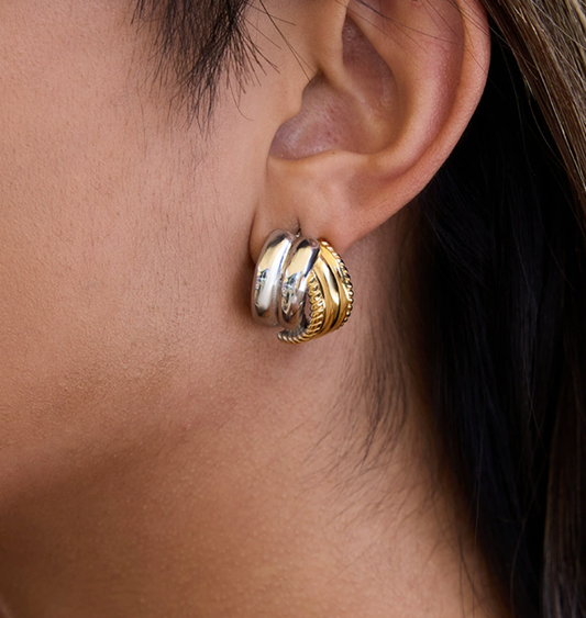 Stainless steel earrings