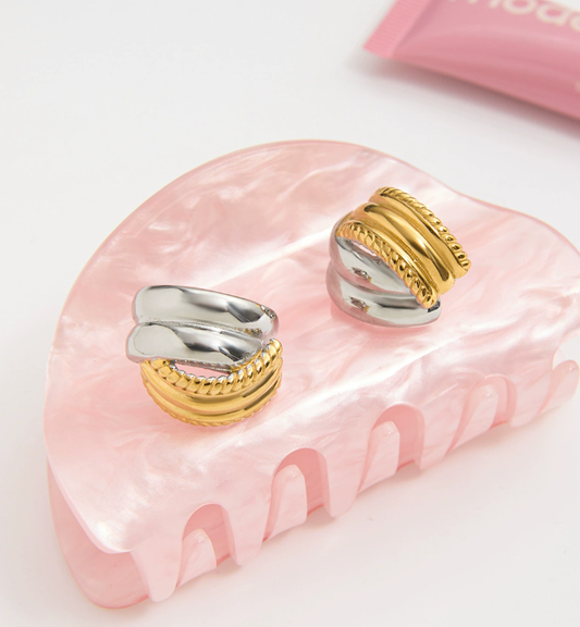 Stainless steel earrings