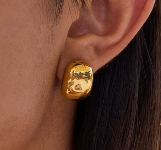 Stainless steel earrings