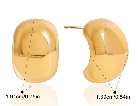 Stainless steel earrings