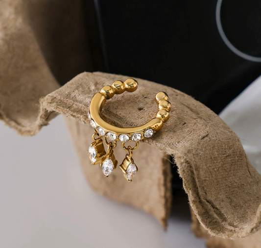 Stainless steel earrings