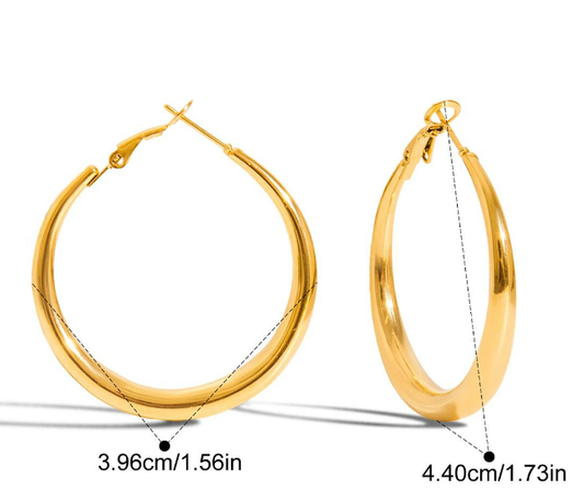 Stainless steel earrings