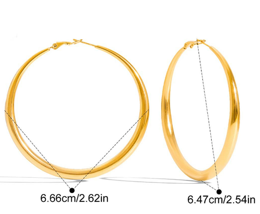 Stainless steel earrings