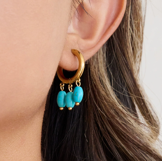 Stainless steel earrings