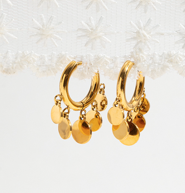 Stainless steel earrings