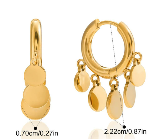 Stainless steel earrings