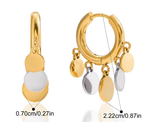 Stainless steel earrings