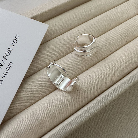 925 sterling silver earrings