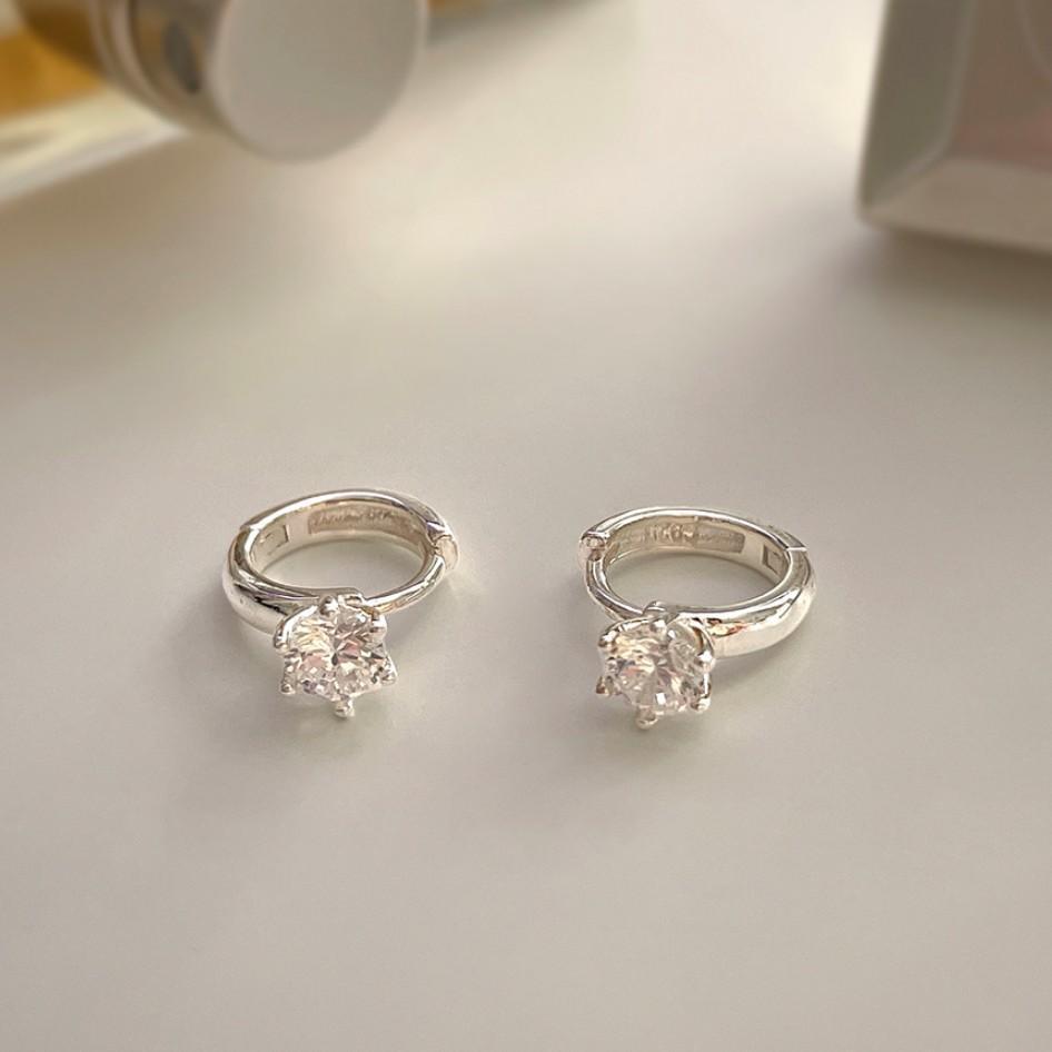 925 Sterling Silver Shining Earrings With Zircon