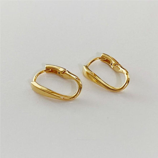 925 Sterling Silver Simple and Stylish Earrings